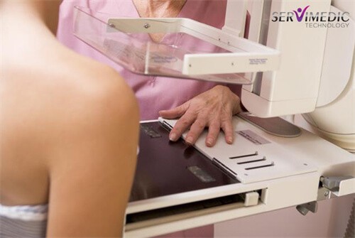 A Dificuldade de Fazer Uma Mamografia A Dificuldade de Fazer Uma Mamografia